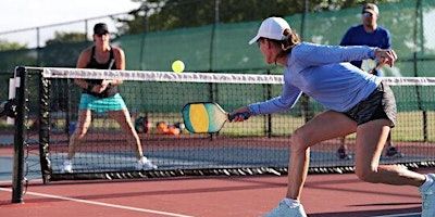 Dink-O de Mayo Pickleball Doubles Tournament | Briarfield Park Tennis Courts