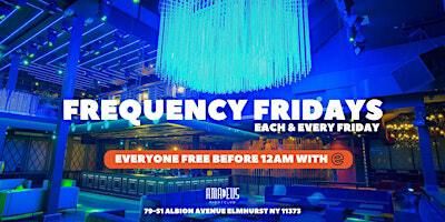 Friday November 8th 2024 : Frequency Fridays at Amadeus Nightclub | Amadeus Nightclub