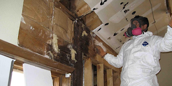 Mississauga Mold Removal Free In-Home Mold Damage Assessment Event | GTA Mold Removal Mississauga
