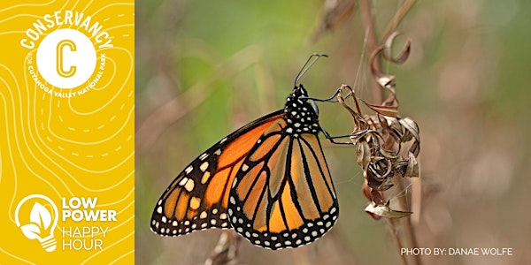 The Everyday Conservationist: Nurturing Nature at Home | Happy Days Lodge