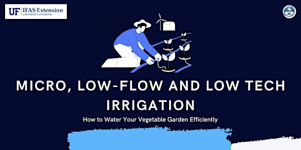 How to Water Your Vegetable Garden:  Micro, Low-Flow, Low-Tech & More | 1032 Superior St