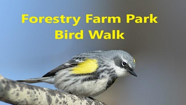 Forestry Farm Park Bird Walk | Forestry Farm Park