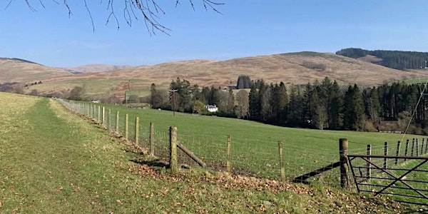 The Storytelling Walkabout | Moffat