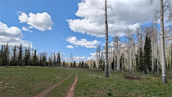 Wagon Wheel OHV Club Poker Run | Town Park