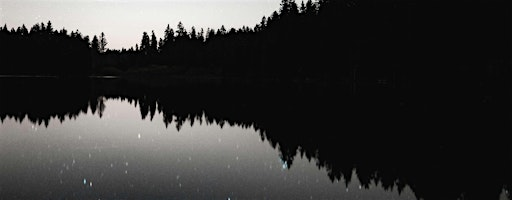 Let go of what you no longer need on the New Sturgeon Moon | The Well P.A.