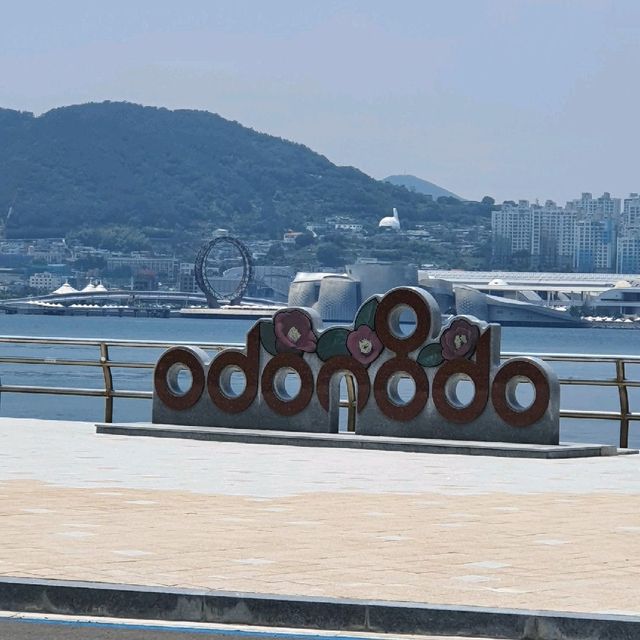 여수 오동도에서 바다 만끽하기!