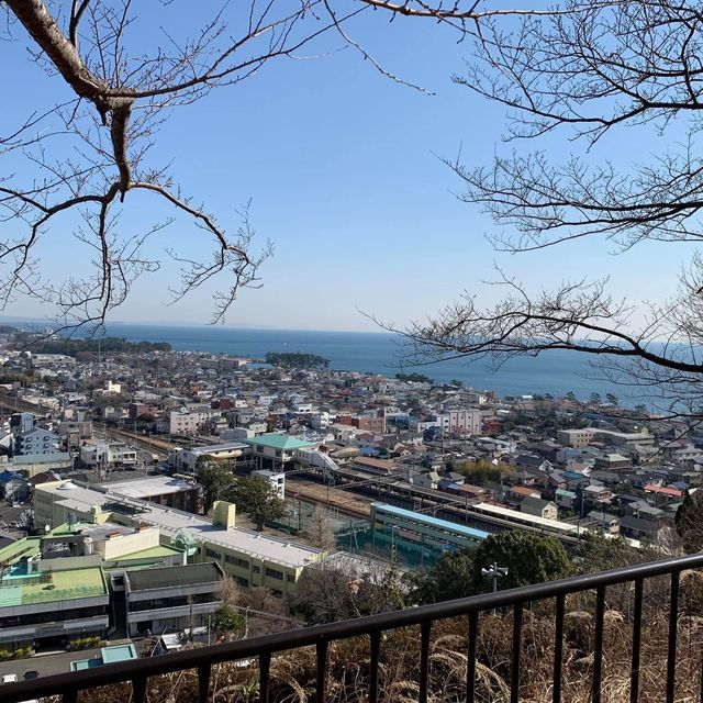 吾妻山公園