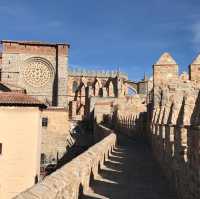 The Medieval City Walls of Avila 