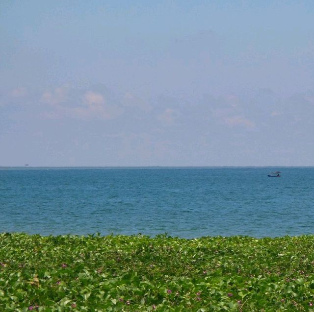 หาดแสงจันทร์