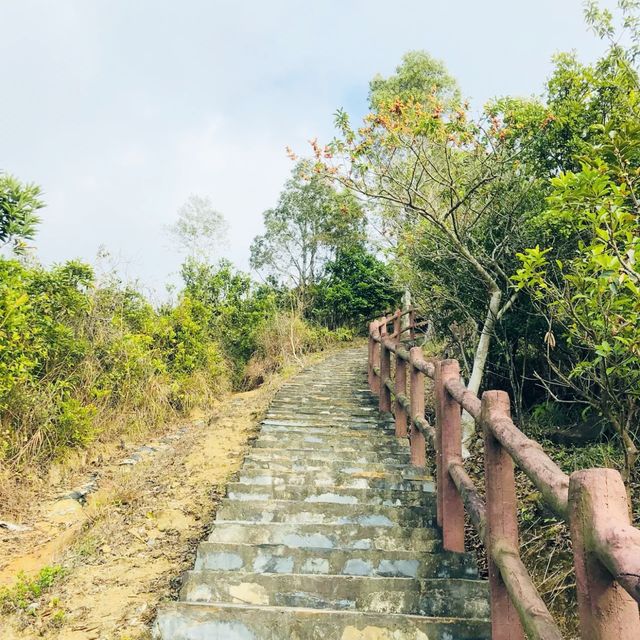 青衣自然教育徑睇日落
