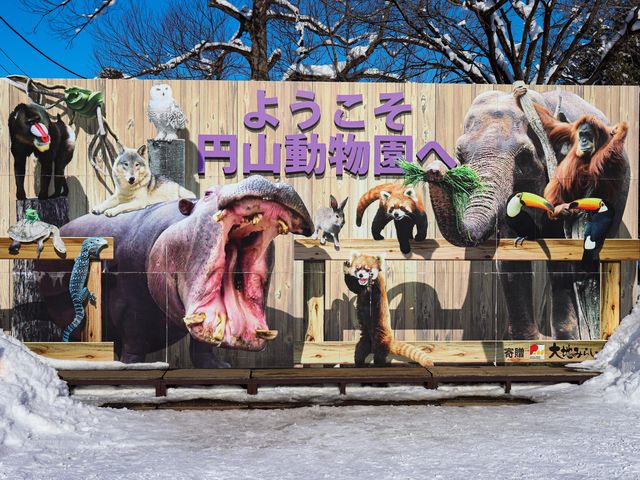 【北海道】雪の動物王国:円山動物園