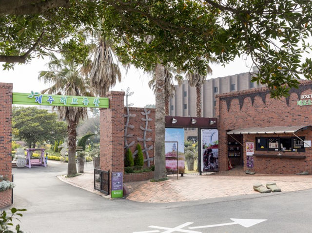 유채꽃 만개 제주 허브동산