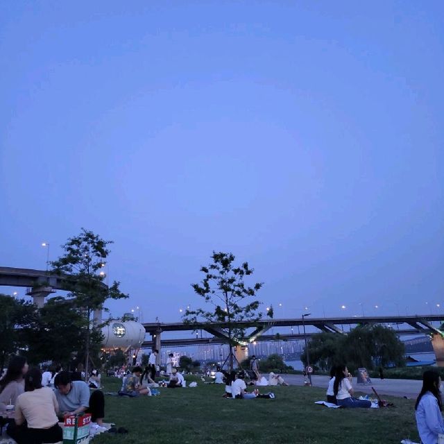 한강은 아마 피크닉의 성지