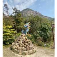 征服香港第二高山峰⛰️-鳳凰山
