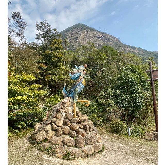 征服香港第二高山峰⛰️-鳳凰山