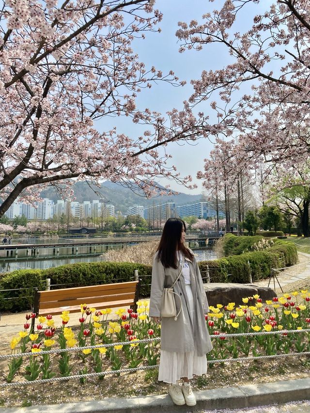 피크닉가기 좋은 김해공원