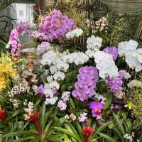 藤が見頃！はままつフラワーパーク💐