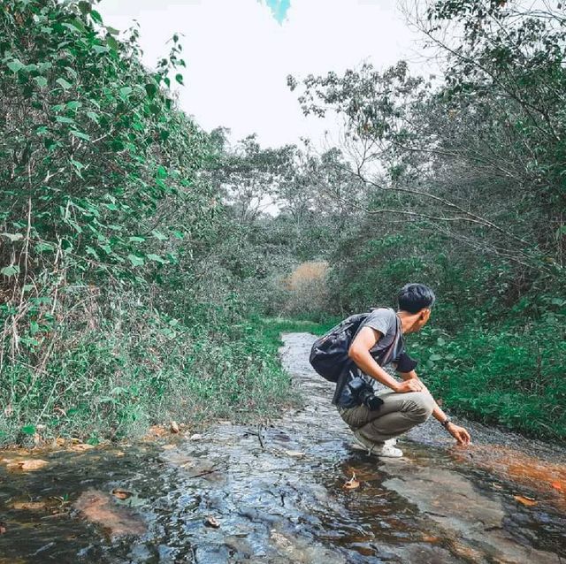 อุทยานแห่งชาติภูหินร่องกล้า จังหวัดพิษณุโลก