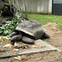 Malaysia National Zoo