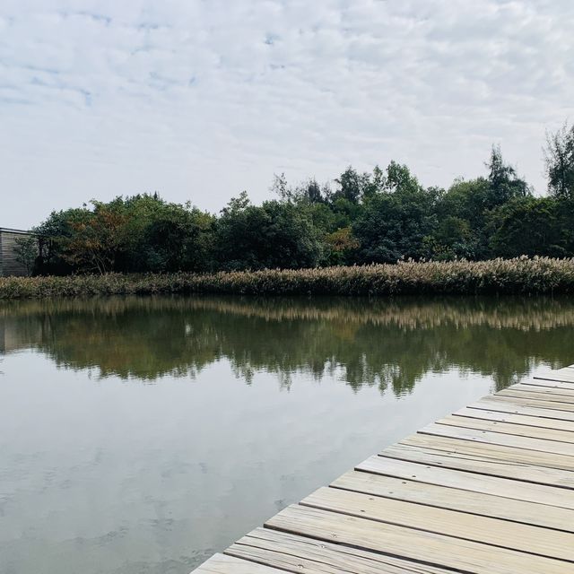 濕地公園 濕地公園