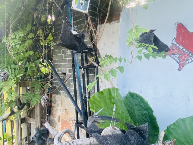 近在咫尺的秘密花園｜坪洲