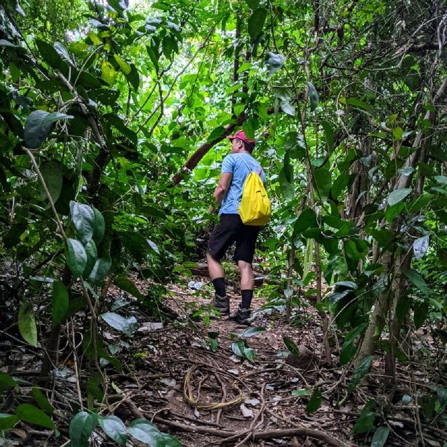 Hike to the top of Mount Faber Park