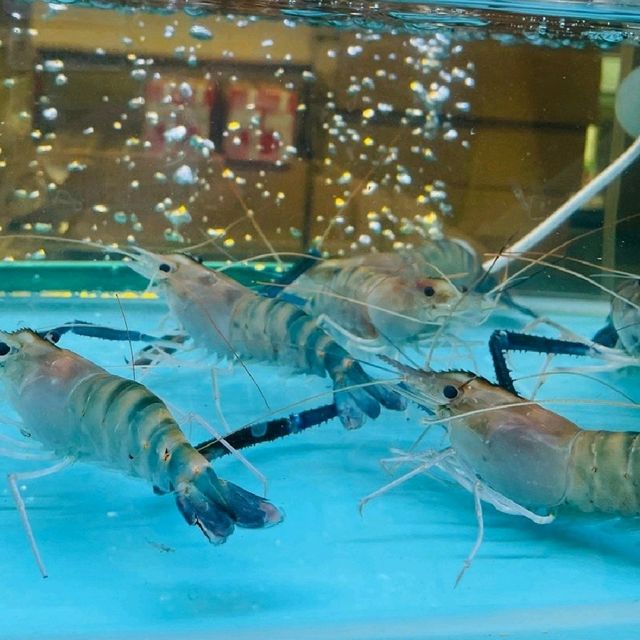佐敦蝦蝦燒🦐好玩又好食😋
