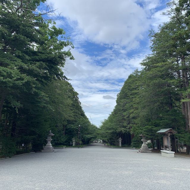 札幌のパワースポット&お花見スポット　北海道神宮を参拝🙏