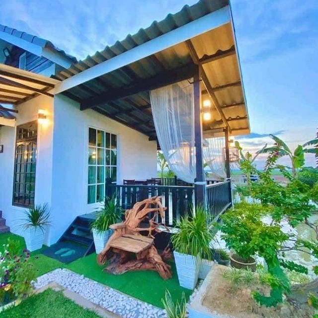 homestay in the middle of padi farm homestay in the middle of padi farm