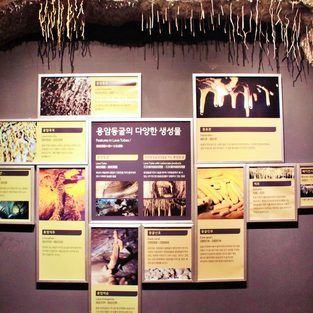 🏛 자연와 문화가 있는, 제주민속자연사박물관