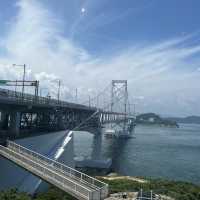 淡路島うずしおandお寿司、玉ねぎ大満足