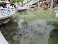 Tortoise Liberation Pond