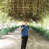 Garin Farm Pilgrimage Resort