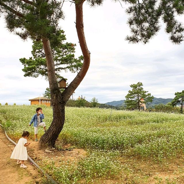추석이 다가오면 생각나는 이곳 ❤🧡💛💚