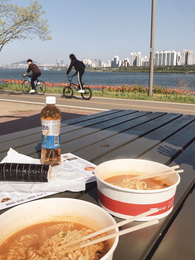 따릉이 타고 한강 라이딩 어때요🚲