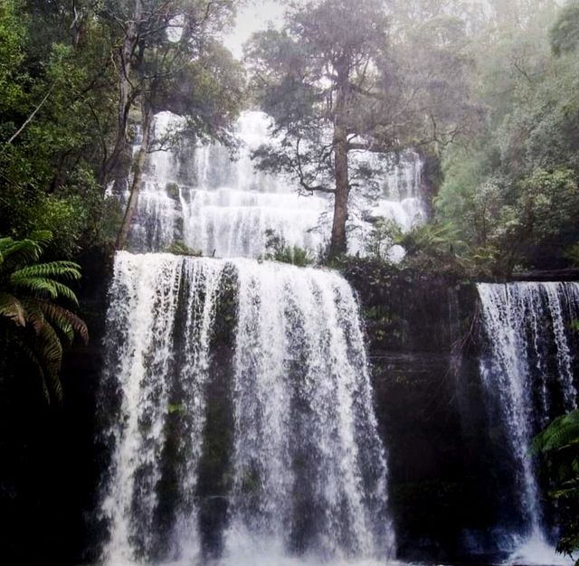 The Highly Visited Horseshoe Falls