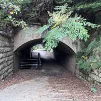 【広島】廃墟がまるでラピュタの世界✨大久野島