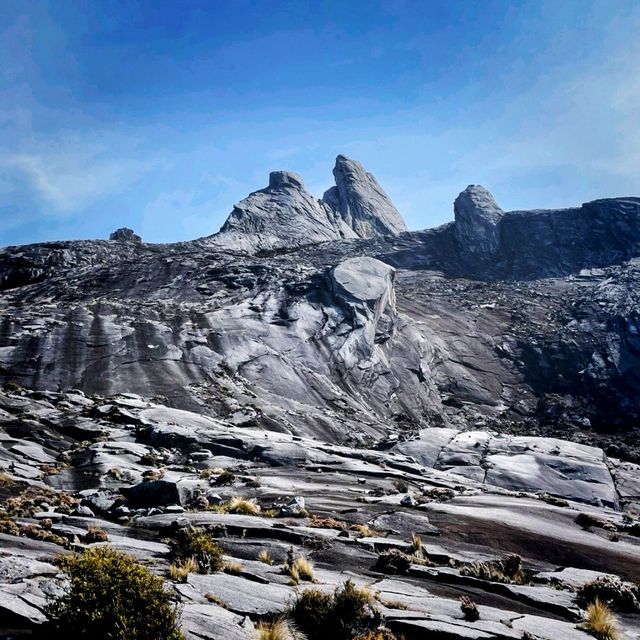 The Summit of North Borneo. DH.CMK.21.1