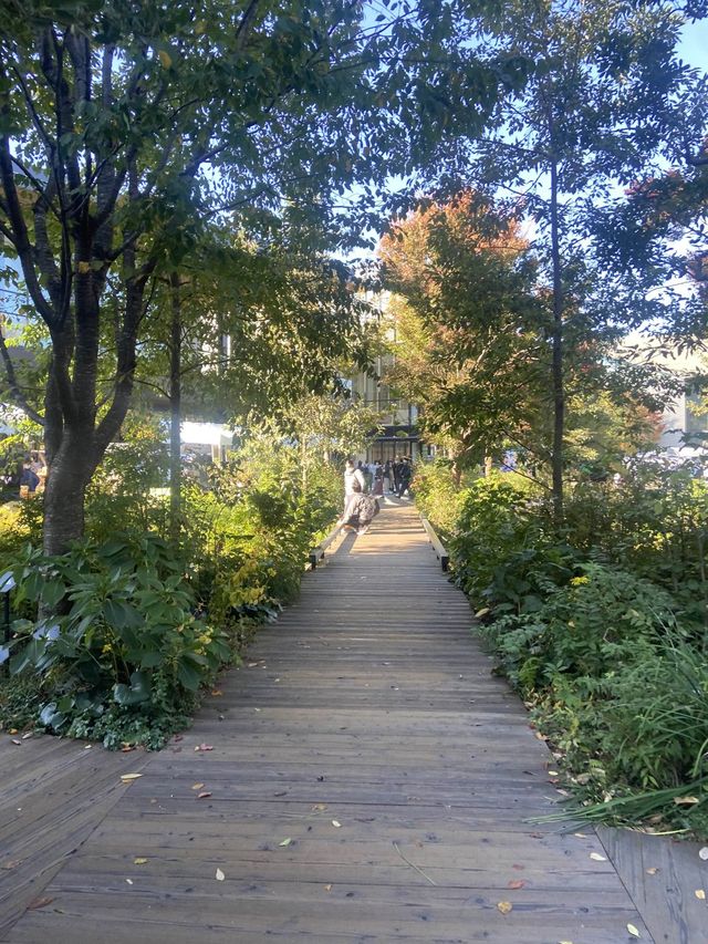 【オシャレな自然スポット】東京・立川で自然を大満喫してきた