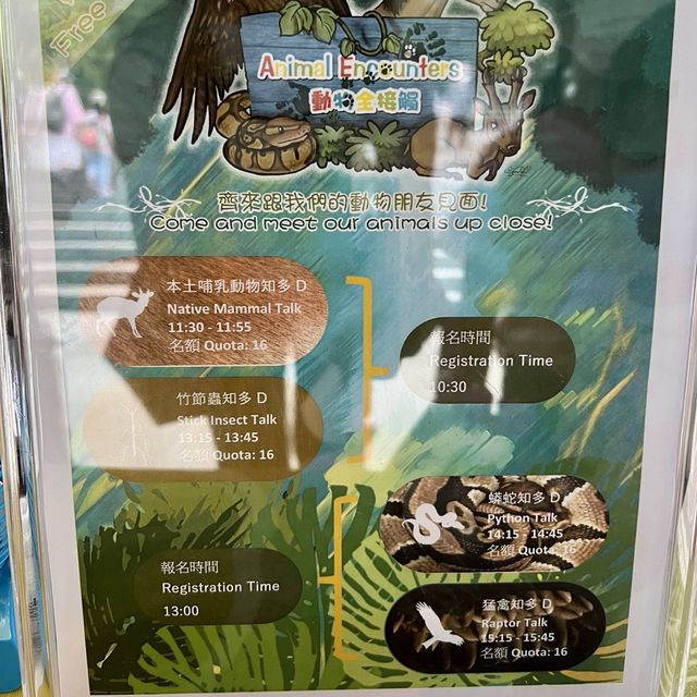 同小朋友去睇動物🤓