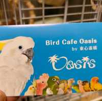【大阪 東心斎橋】バードカフェで癒されちゃう🐦