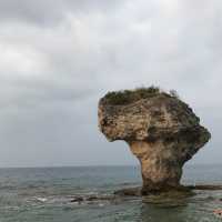 小琉球地標： 花瓶岩