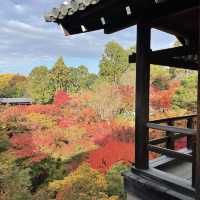 【京都府】通天橋から望む絶景の紅葉