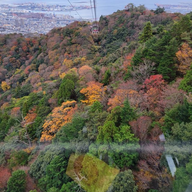 山頂的是星之駅｜摩耶山纜車