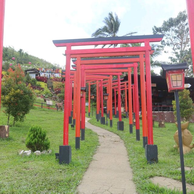 Red is the color