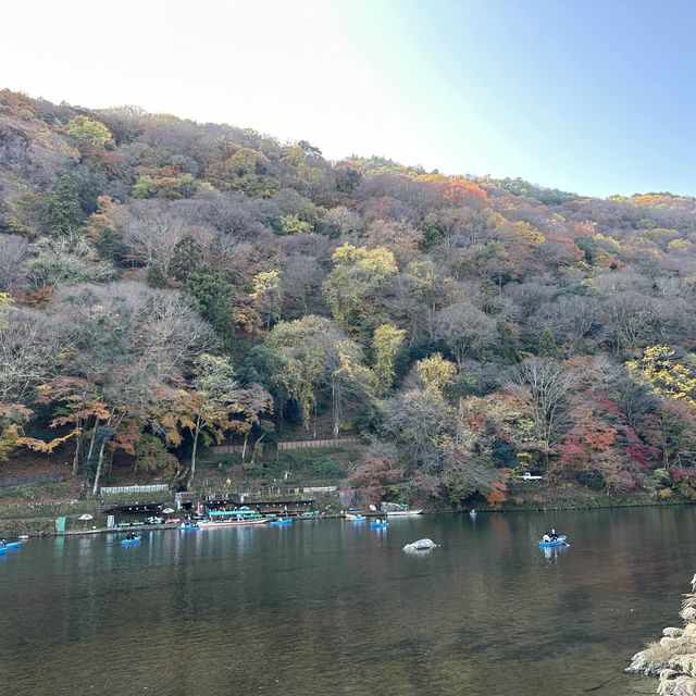 適逢紅葉季的開關第一遊