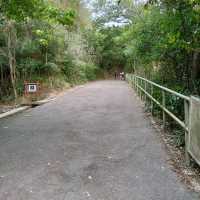 香港仔郊野公園~行山 / BBQ 好去處！