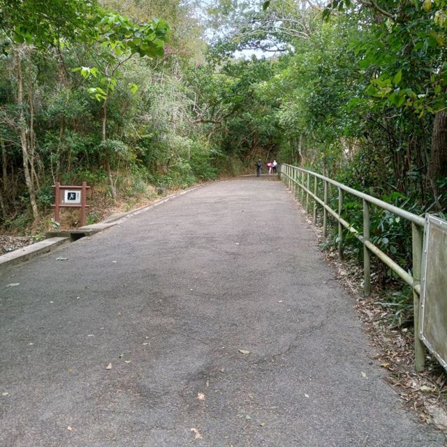 香港仔郊野公園~行山 / BBQ 好去處！