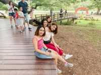 ต้นจามจุรียักษ์ กาญจนบุรี