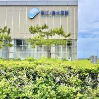新江ノ島水族館の壁画アート